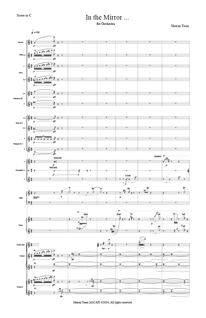 In the Mirror... score excerpt